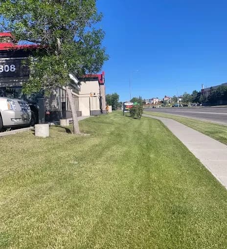 Lawn & Yard Maintenance in Calgary